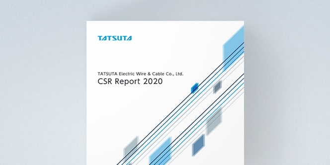 CSR Report 2020