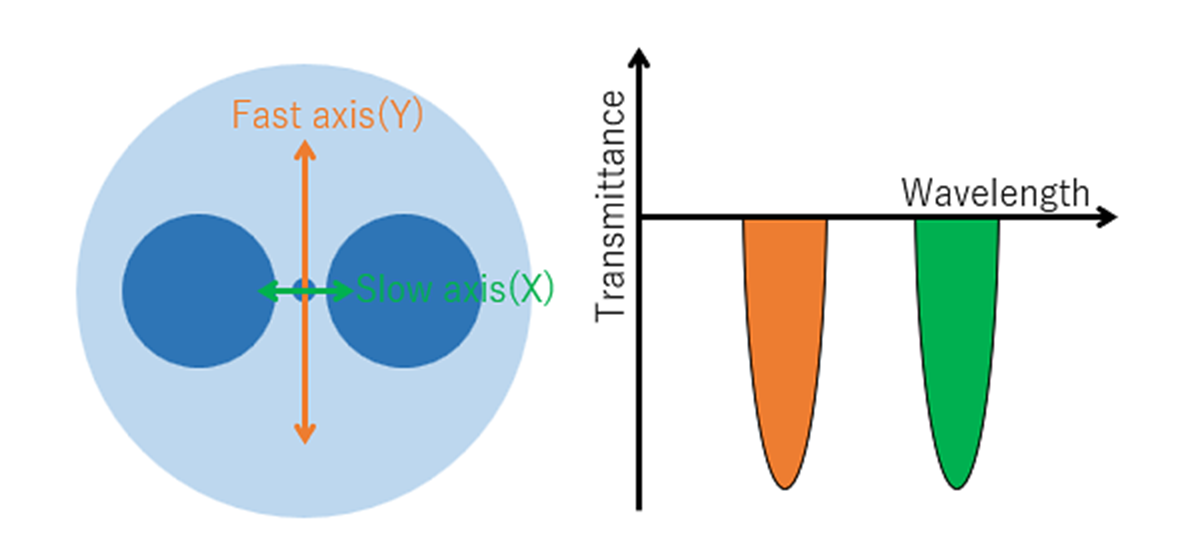 Image of the Bragg wavelength of the FBG